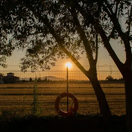Bright In The Countryside Near Pisa Apartment *